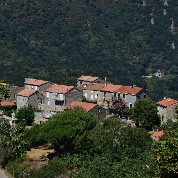 Family terraces and cafés for calm evenings in Düsseldorf